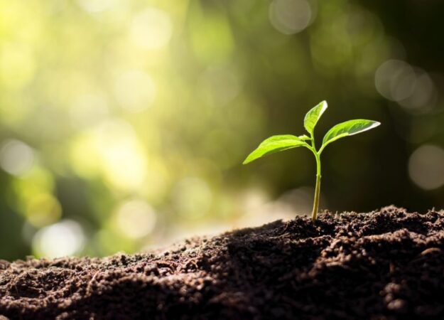 Det-foeles-godt_groen-omstilling-1280x853-1-840x560-1